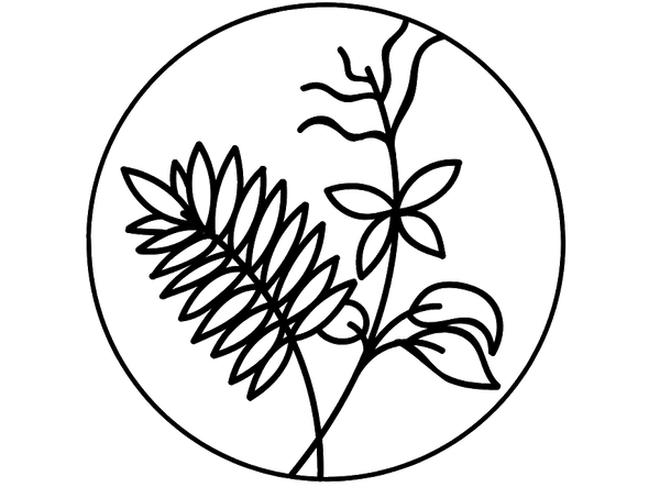 Luxóren Collective
